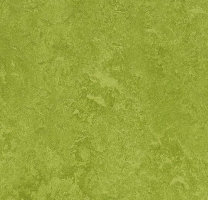 Натуральный линолеум 3247 green (Forbo Marmoleum Fresco), м²