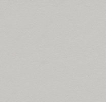 Натуральный линолеум 3369 titanium (Forbo Marmoleum Walton), м²