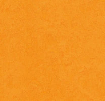 Натуральный линолеум 3262 marigold (Forbo Marmoleum Fresco), м²
