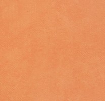 Линолеум 72404 (Forbo Emerald Standart), м²