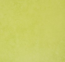 Линолеум 72413 (Forbo Emerald Standart), м²