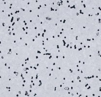 Линолеум Forbo Sphera EC 450007 grey sky