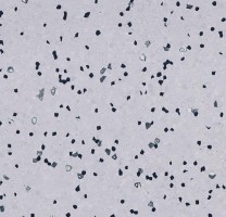 Линолеум Forbo Sphera EC 450032 soft lilac