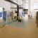 Marmoleum Cocoa 3587 Куркума