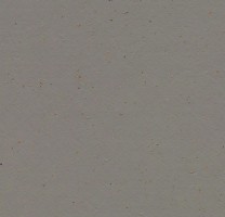 Натуральный линолеум 3589 Nori (Forbo Marmoleum Cocoa), м²