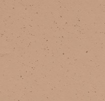 Натуральный линолеум 3592 Salted Caramel (Forbo Marmoleum Cocoa), м²