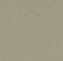 Натуральный линолеум 3593 Matcha (Forbo Marmoleum Cocoa), м²