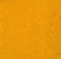 Натуральный линолеум 3125 golden sunset (Forbo Marmoleum Fresco), м²