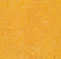 Натуральный линолеум 3225 dandelion (Forbo Marmoleum Real), м²
