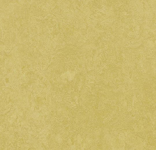  Натуральный линолеум 3259 mustard (Forbo Marmoleum Fresco), м²